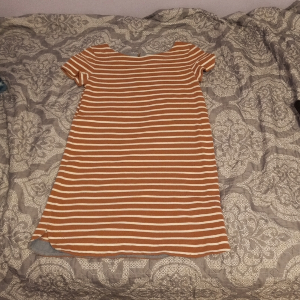 Loft Small Coral Striped Dress